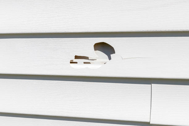 Affordable Siding Repair and Maintenance Services in Pinckney, MI